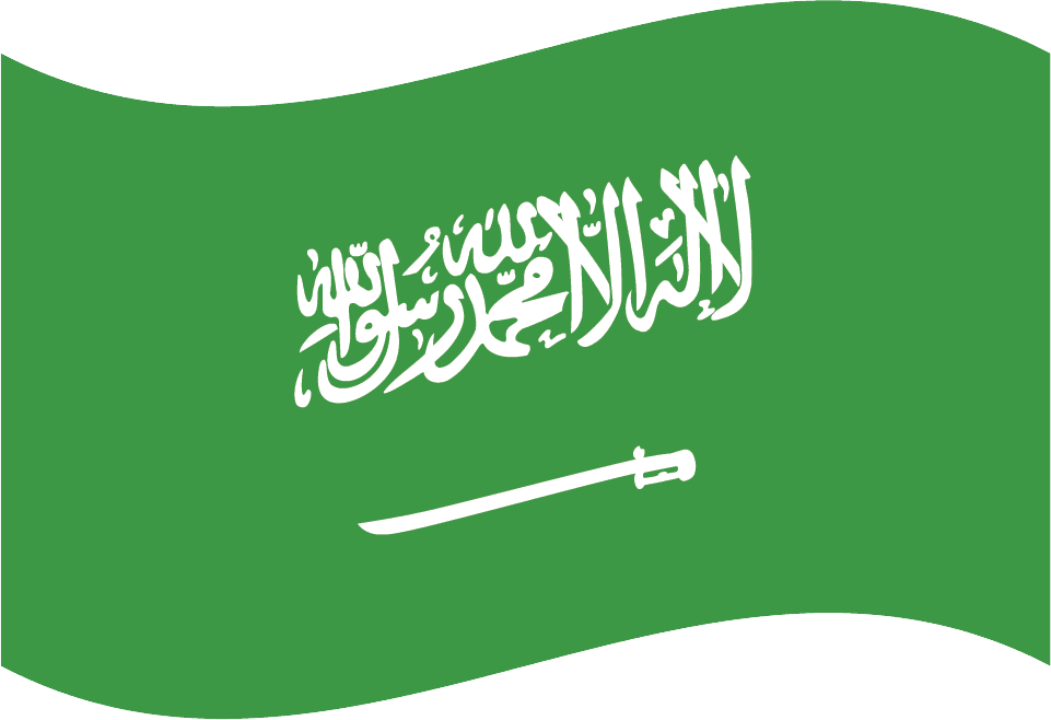 Digital Marketing Services in Saudi Arabia by Ali Kadri