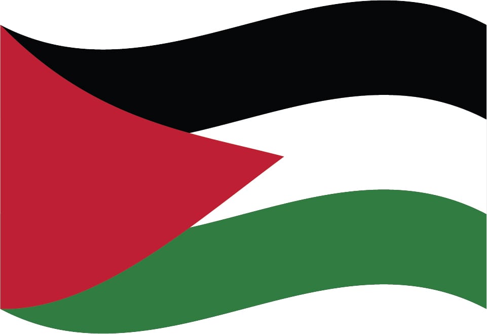Digital Marketing Services in Palestine by Ali Kadri